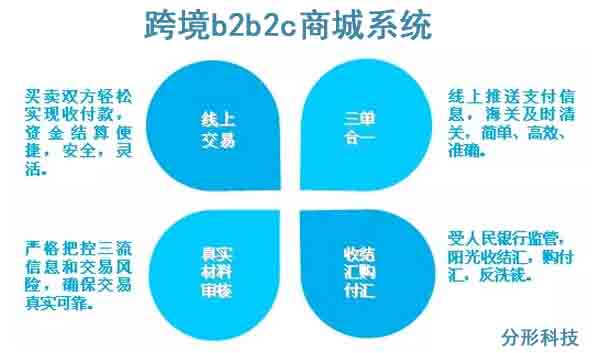 跨境b2b2c商城系統建設