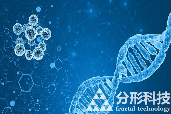 醫院網站建設：打造有溫度的醫患情感連接器